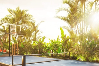 Multiplay Court